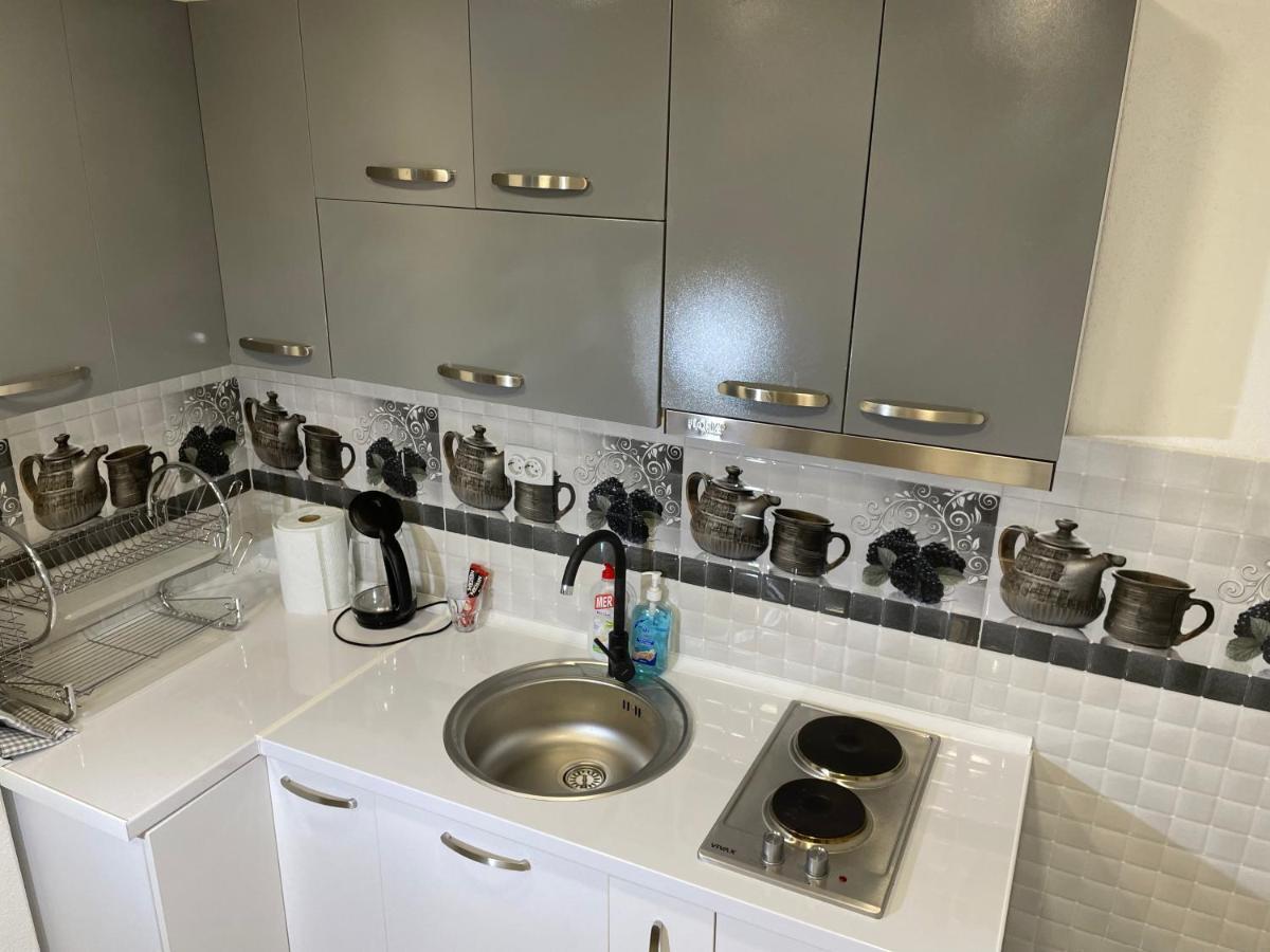 Bora Apartmani - Free Parking - City Center Vranje Luaran gambar